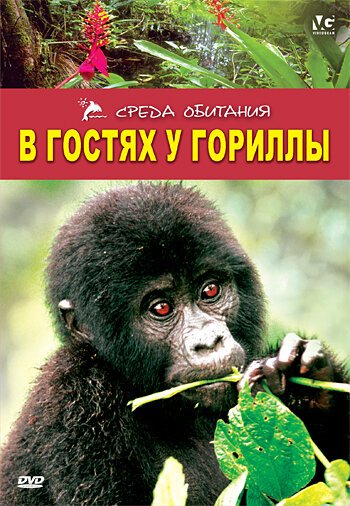 В гостях у гориллы  (1997)