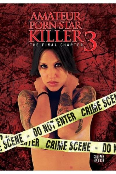 Убийца порнозвезды-любительницы 3: Последняя глава  (2009)